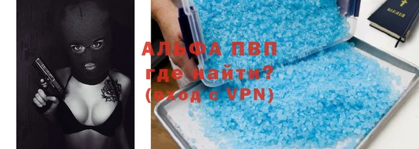 сатива Сатка
