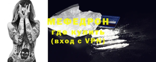 индика Богданович