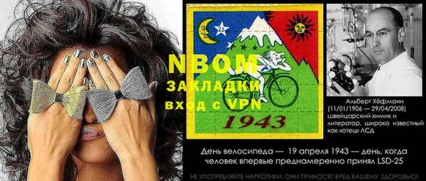 индика Богданович