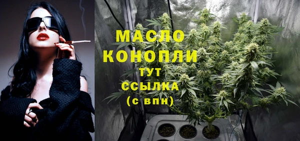 индика Богданович