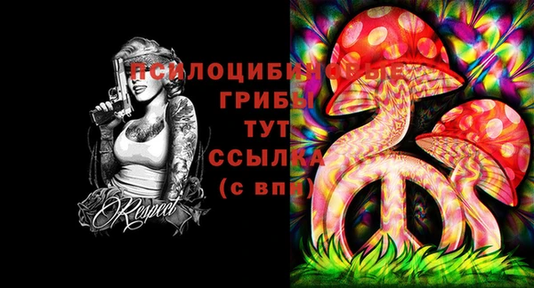 бошки Рославль