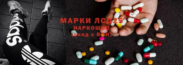 индика Богданович