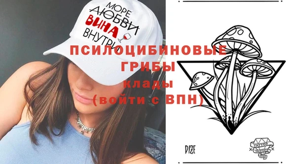 не бодяженный Богородицк
