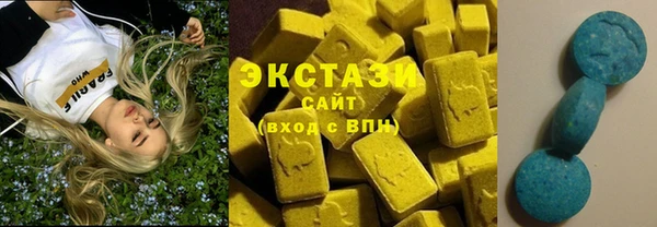индика Богданович