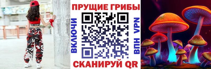 Псилоцибиновые грибы GOLDEN TEACHER  hydra ссылки  Владивосток 