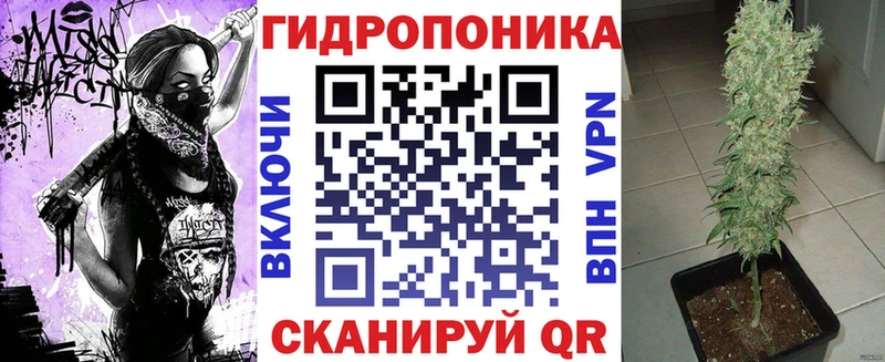 Конопля White Widow площадка Telegram Владивосток купить наркотики сайты